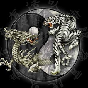 Meet your Posher, Cori-lynn